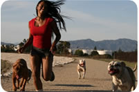 The Dog Girl: Cassandra Creech